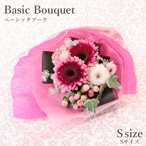 X[p[SALE|Cg5{:   t[ Mtg t[Mtg a v[g Ԗ x[VbNu[P STCY ԑ u[P y ԉ o j \  ʉ ސEj