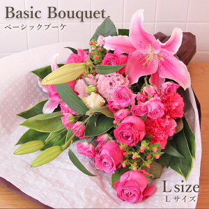  Mtg a tA x[VbNu[P LTCYi6FIׂ܂Ij y  ԑ u[P o  t[ v[g t[Mtg j \  ʉ 