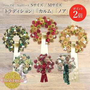 y|Cg2{z yyVz NX}X[X yV1ʁ tA Noel[X STCY MTCY {t pؔ   3F炲I  y 2025  t[ M