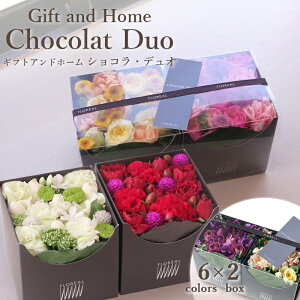 X[p[SALE|Cg5{:  Mtg a t[{bNX tA VRfI LIMEX 6FI {bNXt[ home t[Mtg   t[ yV1 y  