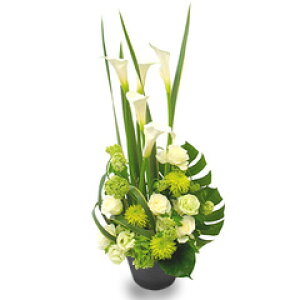  Mtg JXj tA tFVeiCAWjC^Cv s^Cvt(6FIj yV1  a  o v[g t[AWg AW