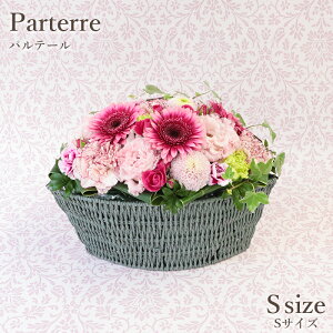 X[p[SALE|Cg5{:  Mtg JXj Ԗ AWgS IWioXPbgupe[v i4FIj y   t[ v[g t[A