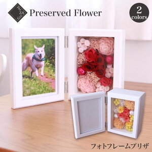 X[p[SALE|Cg5{:  Mtg a Ԗ vU[uht[ ` vU  `w tHgt[ vU x 2F`I  o  t[ v[g t[M