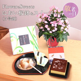 【マラソン中ポイント5倍】 敬老の日 送料無料 楽天1位 におい桜 スイーツ セット におい桜鉢 敬老の日ギフト プレゼント 花 フラワー ギフト 鉢植え 花鉢 鉢 お菓子 和菓子 カステラ 他