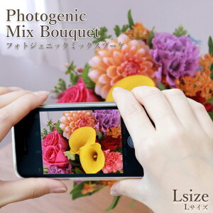  Mtg tA gtHgWFjbNh ~bNXu[P L iG߂̉ԍނ܂Êԁj y  u[P ԑ a j  ʉ ސEj  t[ t