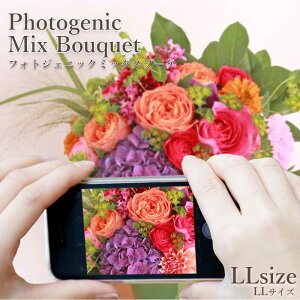  Mtg tA gtHgWFjbNh ~bNXu[P LL iG߂̉ԍނ܂Êԁj y  u[P ԑ a j  ʉ ސEj  t[ t