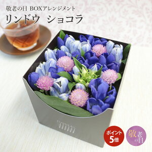 生花 カラー花の人気商品 通販 価格比較 価格 Com