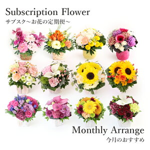 yTuXNz Ԃ̒ Еz  {ȂԂ͂ Ԗ ̉ ̎ɂ   Mtg LO AWg v[g t[AWg AWg