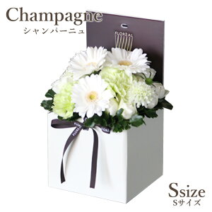  Mtg  t[{bNX tA V}S 6FI {bNXt[    yV1 y  a o v[g t[AWg A