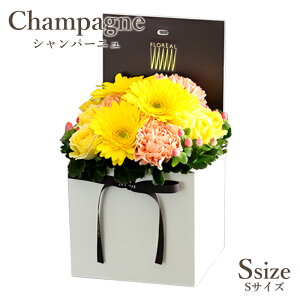  Mtg  t[{bNX tA V}S 6FI {bNXt[    yV1 y  a o v[g t[AWg A