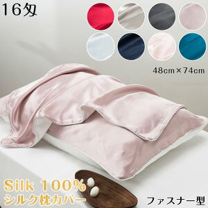 VN Jo[yVNJo[   48×74cmzJo[ VN100 VN܂Jo[ 􂦂   ⊴   s[P[X ێ e 16 sP[X ܂Jo[ 