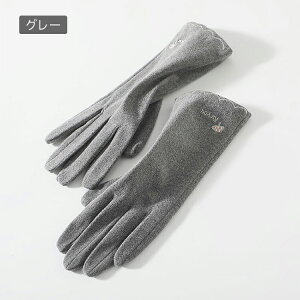  fB[X X}z X}[gtHΉ Vv ܖ{w h  킢  Mtg v[g 蕨 ubN sN T[} O[u 9cm S23cm g 