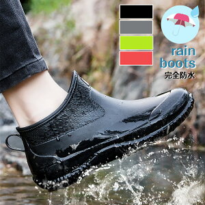 Cu[c o[u[c CV[Y S V[gu[c C JC K[fjOu[c fB[X Cu[c n L Sh RtH[g y ɂ ʊw ʋ 