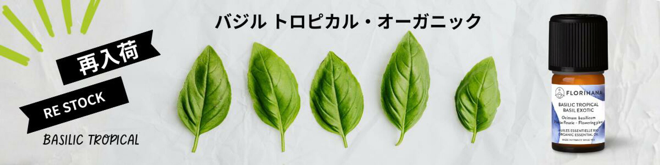 バジルトロピカル