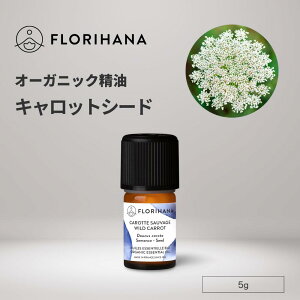 [撅N[|L] LbgV[h  I[KjbN 5g b Carrot Lbg A} A}IC GbZVIC  VR _ Y