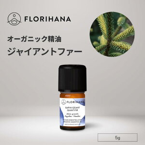 [撅N[|L] WCAgt@[  I[KjbN 5g b Giant Fir A} A}IC GbZVIC  VR ~̖ _ Y