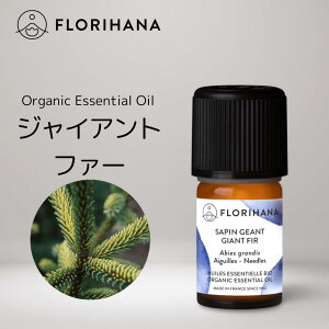 tni WCAgt@[  I[KjbN 5g b Giant Fir A} A}IC GbZVIC  VR ~̖