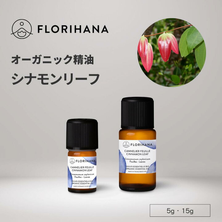 楽天市場】【フロリハナ公式】シナモン リーフ 精油 オーガニック 5g 