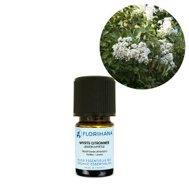 楽天市場 精油 レモンマートルの通販