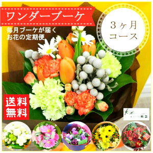  ԁu_[u[PE3R[XiS3jv a  v[g Mtg j ԑ w t[Mtg { ͂