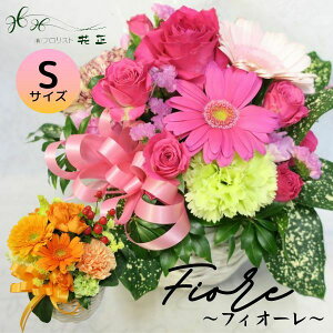 aɃIXXIG߂̂ԂȃAWgt[ utBI[Sv  v[g Mtg j LO