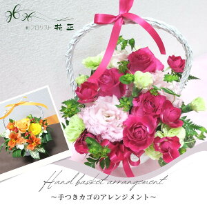 AWgu̃AWgv a  v[g Mtg j LO TvCY oXPbg 