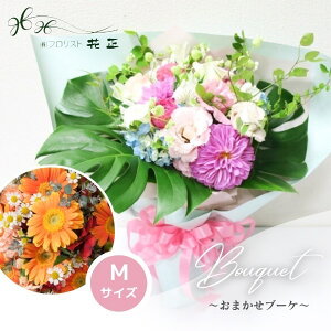 ԑuJ[Iׂ􂨂܂u[PMv a  Mtg v[g j@蕨@؂₩@b`@؁@G߂̂ԏ{̂ԁ@  TvCY