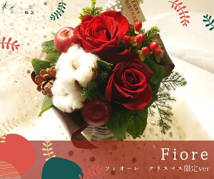 AWguNX}X tBI[v  v[g a j LO NX}X ~̃Mtg Ε ͂n菤i