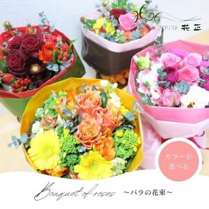 ԑuõu[Pv a  Mtg v[g j J[Iׂv|[Y@蕨@LO