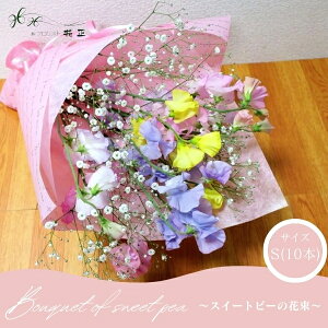 �X�v�����O�M�t�g�u�X�C�[�g�s�[�̉ԑ� S�v 10�{ �u�[�P �a���� ���� �M�t�g �v���[���g ���j�� ���蕨�@�L�O��