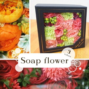 \[vt[u{bNXvoX\[v a  v[g Mtg j ԑ Ό o J[l[V ͂Ȃ