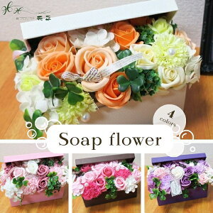 \[vt[uWG[{bNXva  v[g Mtg j ԑ Ό o J[l[V ͂Ȃ