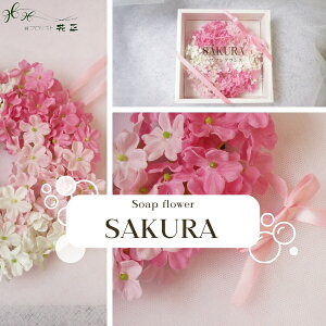 \[vt[ uSAKURAv a  v[g Mtg j [X Ό ͂Ȃ