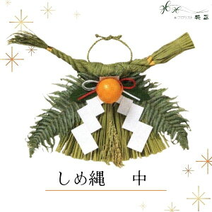 ߓ wx   zw   VN }t ֗p ߏ Y