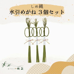 ߓ w߂ˁi3Zbgjx   zw   VN }t  ߏ 䏊p p Y ߂ˁ@ g