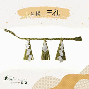 ߓ wOЁx   zw   VN }t ֗p ߏ@_Ip