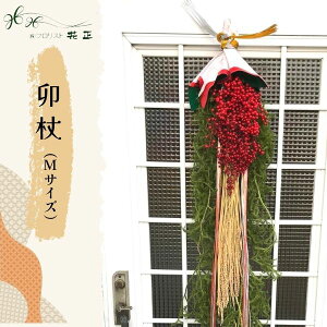  wKMTCYx  VRf  zw   VN }t