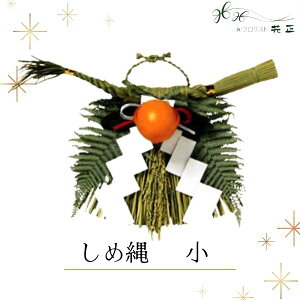 ߓ wx   zw   VN }t ֗p ߏ Y