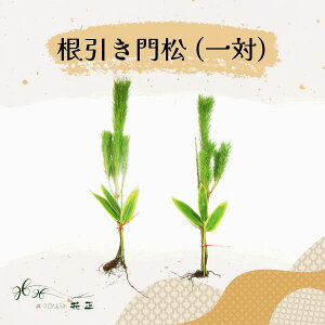 叼 w叼i1΁j2x   zw   VN }t ǂ܂