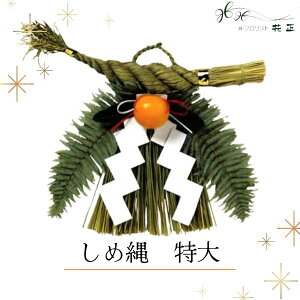 ߓ wx  傫TCY  zw   VN }t ֗p ߏ Y