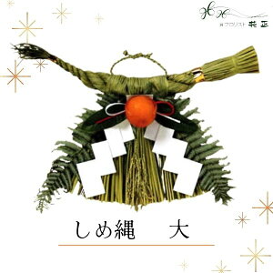 ߓ wx 傫TCY  zw   VN }t ֗p ߏ Y