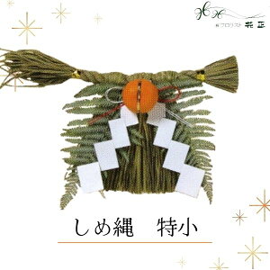 ߓ wx   zw    VN }t ֗p ߏ Y