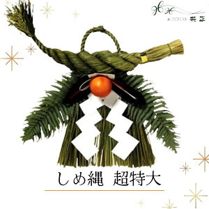 ߓ wx  傫TCY  zw   VN }t ֗p ߏ Y