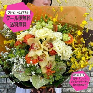 yz XLTCY  Mtg IׂX^C AWg ԑ u[P  a j   җj v[g   ސE  JX 䋟  LO Ď Ê 