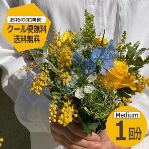 yz yԂ̒ցz MediumTCY 1 G߂̂Ԃ𖈌͂ t[TuXN  ~ju[P ԑ Mtg a LO v[g Ԃ̂炵  t[A