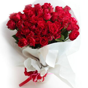 yzIׂỏԑ 20{ 30{ 50{ 60{ 70{ 80{ 100{  ԑ Mtg v[g a LO v|[Y LO җj ސEj j \ TvCY  