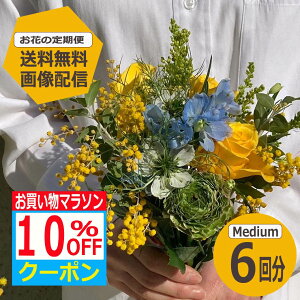 y}\10OFFN[|!!z yz yԂ̒ցz MediumTCY 6 G߂̂Ԃ𖈌͂ TuXN  ~ju[P ԑ Mtg a LO v[g Ԃ̂