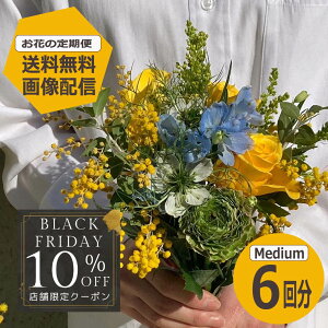 yBLACKFRIDAYX܌10OFFN[|z@yz yԂ̒ցz MediumTCY 6 G߂̂Ԃ𖈌͂ TuXN  ~ju[P ԑ Mtg a LO v[g Ԃ̂