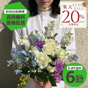 yyVX[p[SALE20OFFz yz yԂ̒ցz LargeTCY 6 G߂̂Ԃ𖈌͂ t[TuXN  ~ju[P ԑ Mtg a LO v[g Ԃ̂