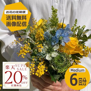 yyVX[p[SALE20OFFz yz yԂ̒ցz MediumTCY 6 G߂̂Ԃ𖈌͂ TuXN  ~ju[P ԑ Mtg a LO v[g Ԃ̂炵 t